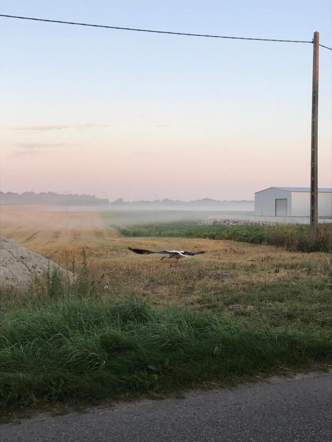 Mazur 35 Lägenhet Szyldak Exteriör bild