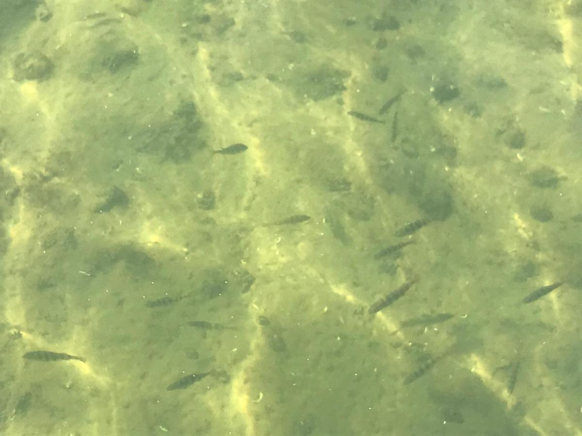 Mazur 35 Lägenhet Szyldak Exteriör bild