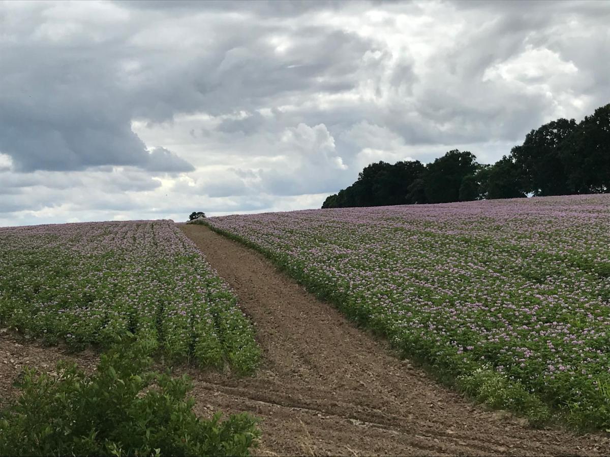 Mazur 35 Lägenhet Szyldak Exteriör bild